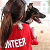 Работа волонтером (volunteer): как найти волонтерскую работу