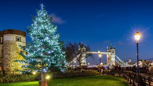 Светящаяся рождественская елка перед Тауэрским мостом вечером.